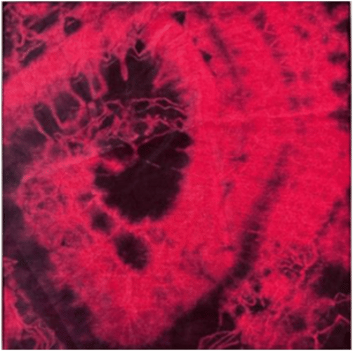 Inter National Institute of Fashion Design Raipur Student work photo 18